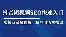 抖音短视频Seo搜索排名优化新手快速入门教程，实体商家短视频，精准引流实操课